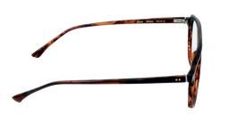 Talla EDO |9035 |Full Rim |Fibre |BROWN-Fibre |55-19-150