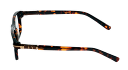 Bovine Lens |2026 |Full Rim |Fibre |BROWN-Fibre |53-18-140