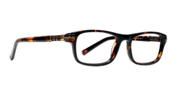 Bovine Lens |2026 |Full Rim |Fibre |BROWN-Fibre |53-18-140
