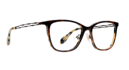 Full Rim |Fibre |BROWN-Fibre |53-17