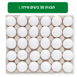 מוצרים נוספים