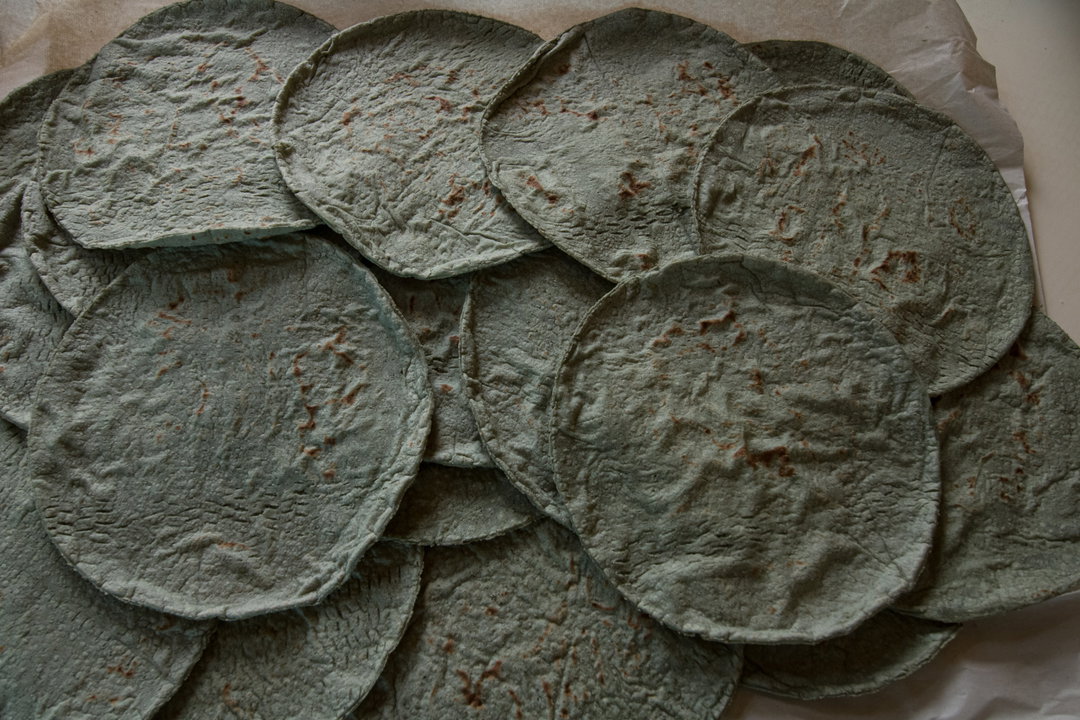 Tortillas Azules / Blue Corn Tortillas / ืืืจืืืืช ืชืืจืก ืืืื