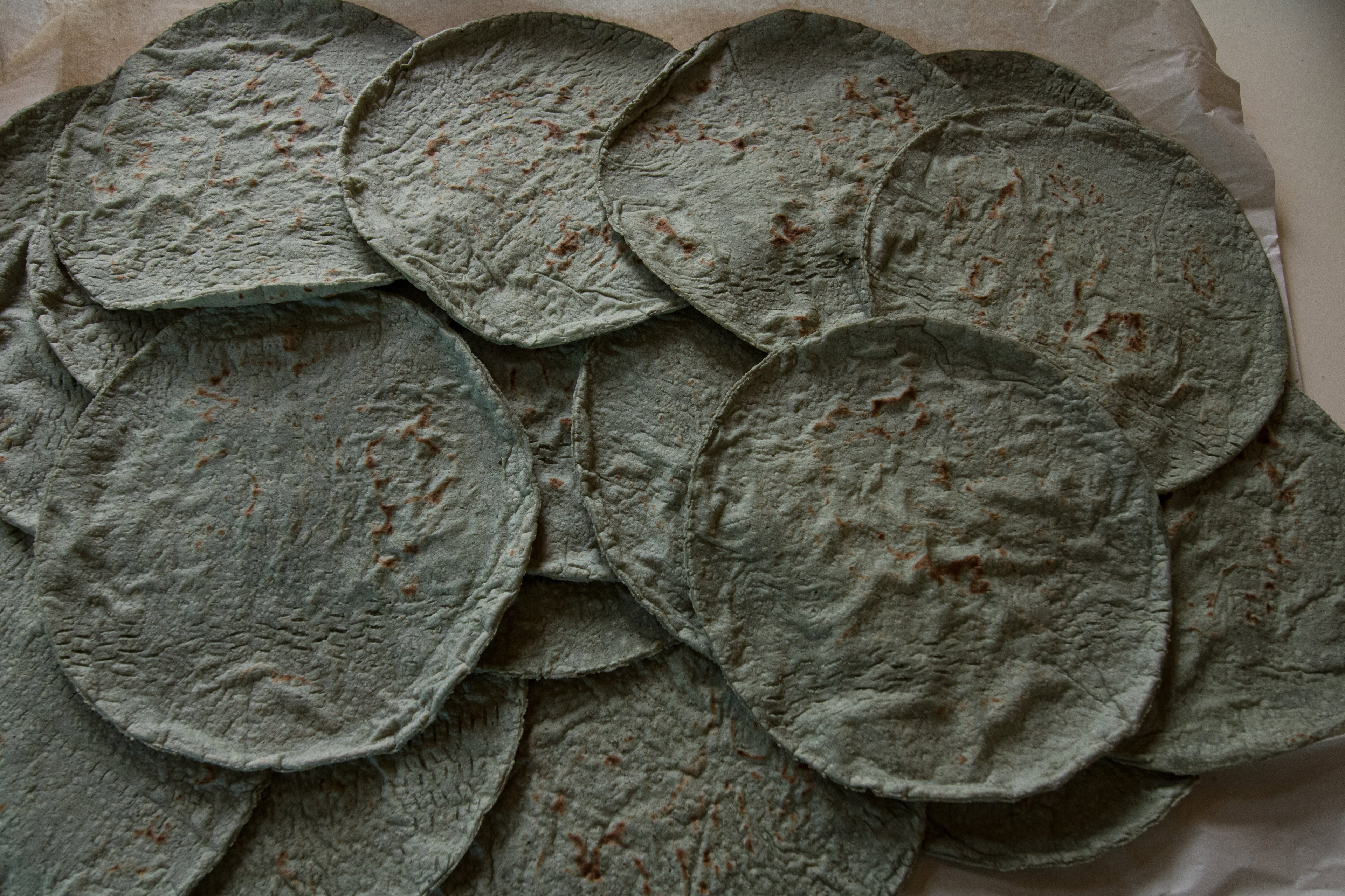 Tortillas Azules / Blue Corn Tortillas / טורטיות תירס כחול