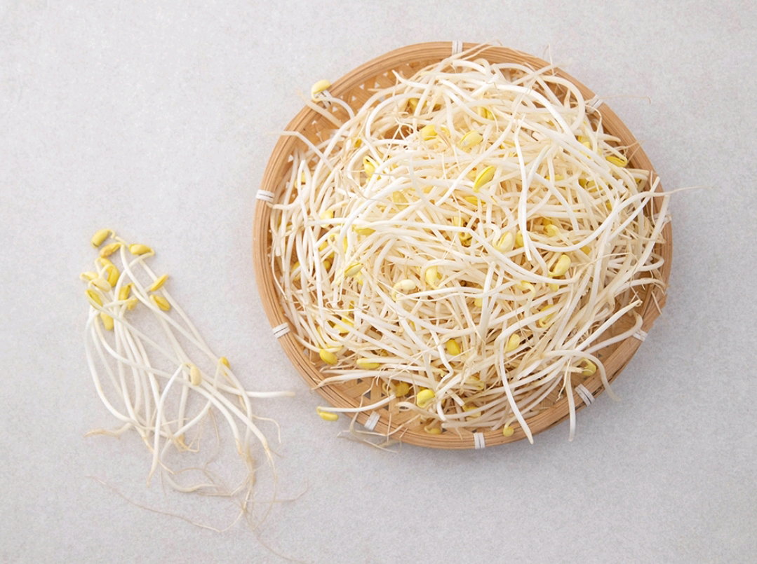 콩나물 500g   Bean Sprouts 500g_1