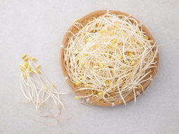 콩나물 500g   Bean Sprouts 500g