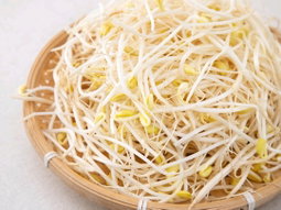 콩나물 500g   Bean Sprouts 500g