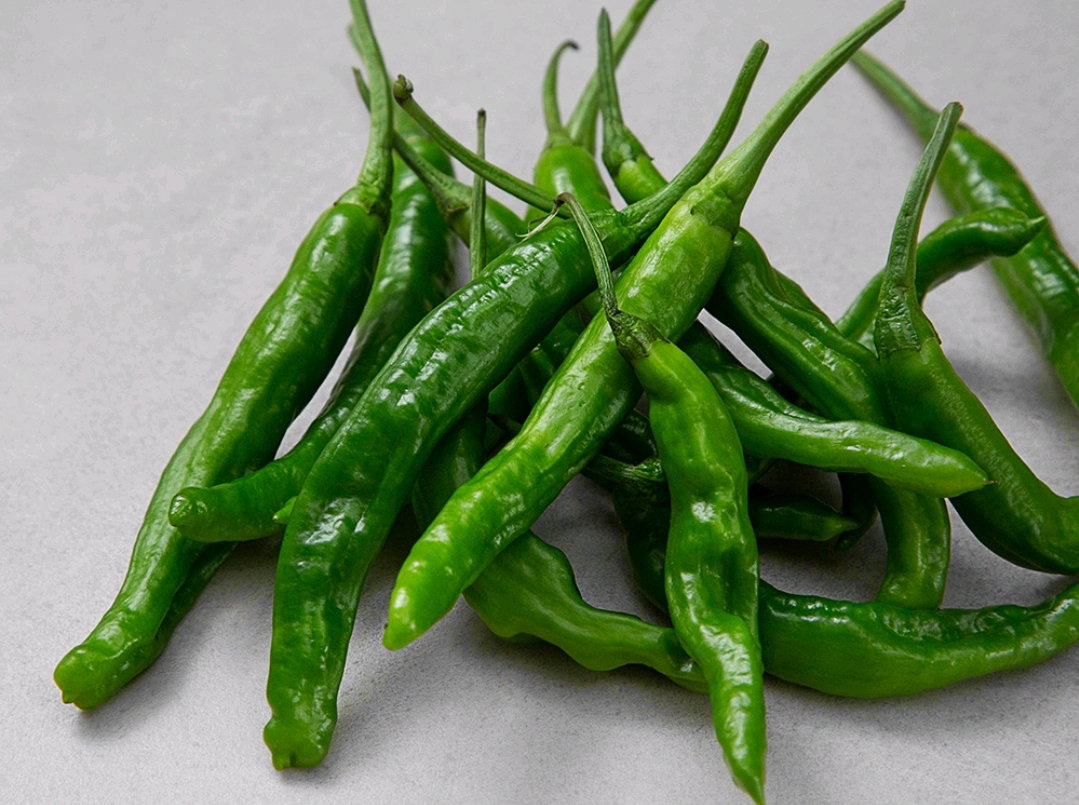 ๊ตญ๋ด์ฐ ๊ฝ๋ฆฌ๊ณ ์ถ, 300g Fresh Shishito Peppers 300g