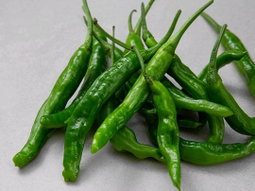 국내산 꽈리고추, 300g   Fresh Shishito Peppers 300g