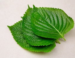 국내산 상추&깻잎 간편쌈, 150g, 2개   Korean Lettuce & Perilla Ssam Set 150g x2