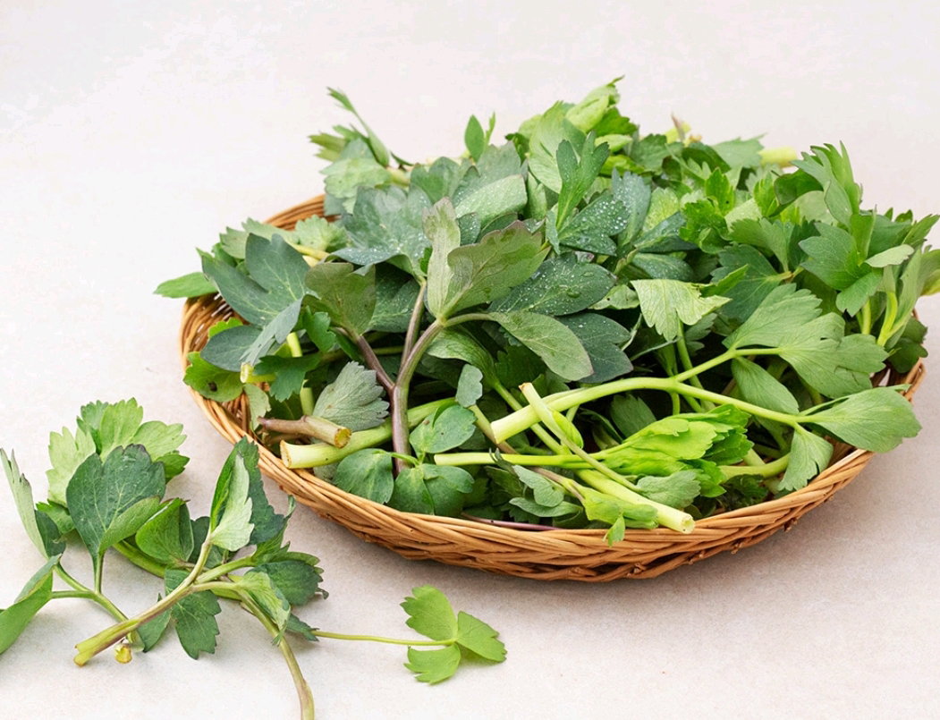 국내산 방풍나물, 300g, 1봉 Korean Bangpung Herbs 300g (1 bag)_1