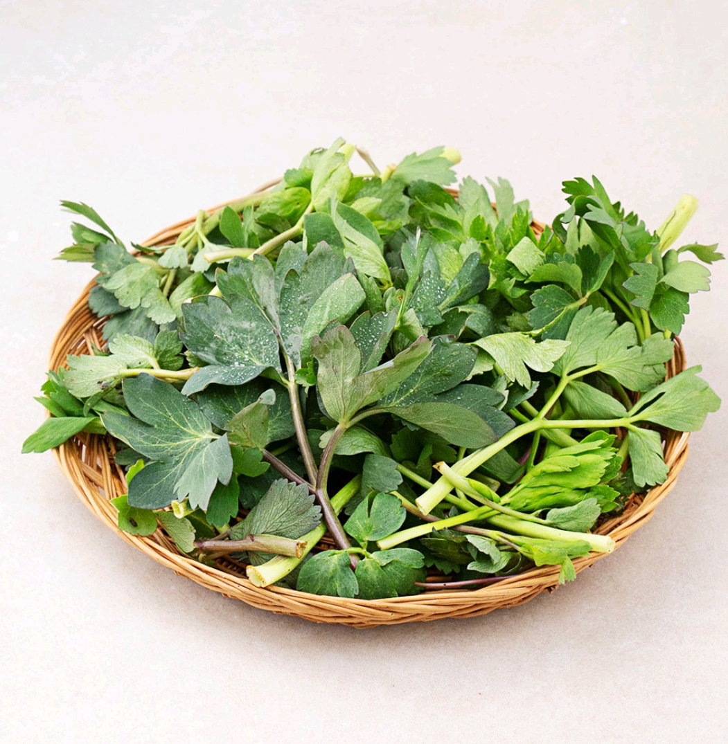 국내산 방풍나물, 300g, 1봉 Korean Bangpung Herbs 300g (1 bag)_2