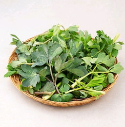 국내산 방풍나물, 300g, 1봉 Korean Bangpung Herbs 300g (1 bag)