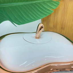 APPLE RICE BOX
