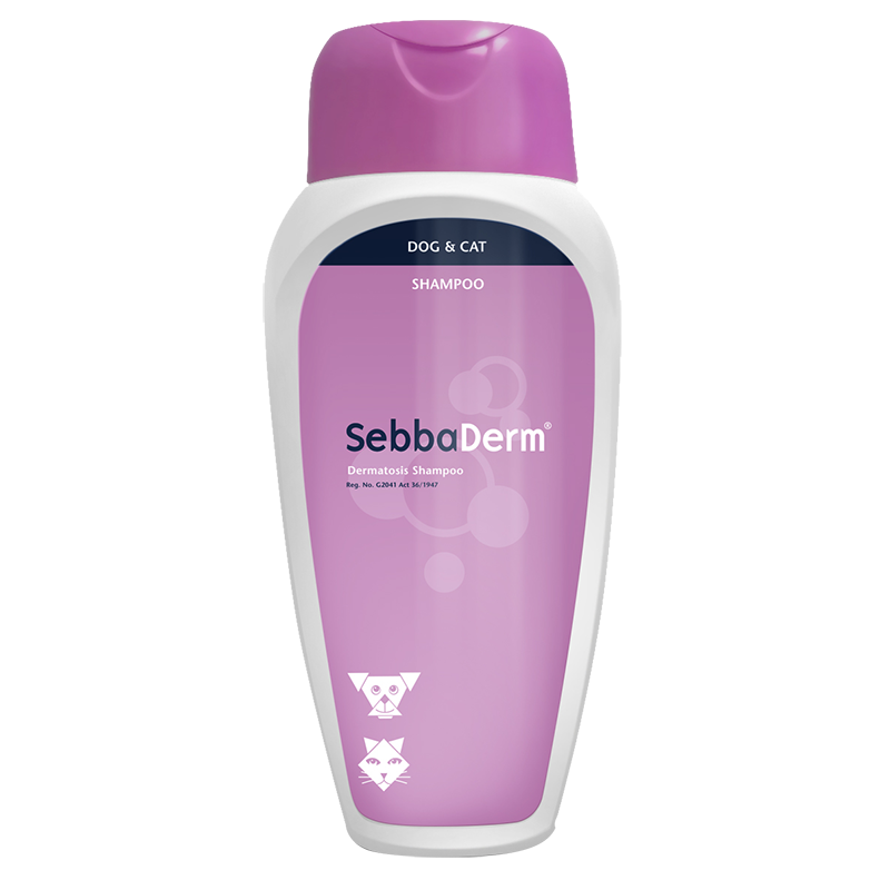 SebbaDerm 250ml