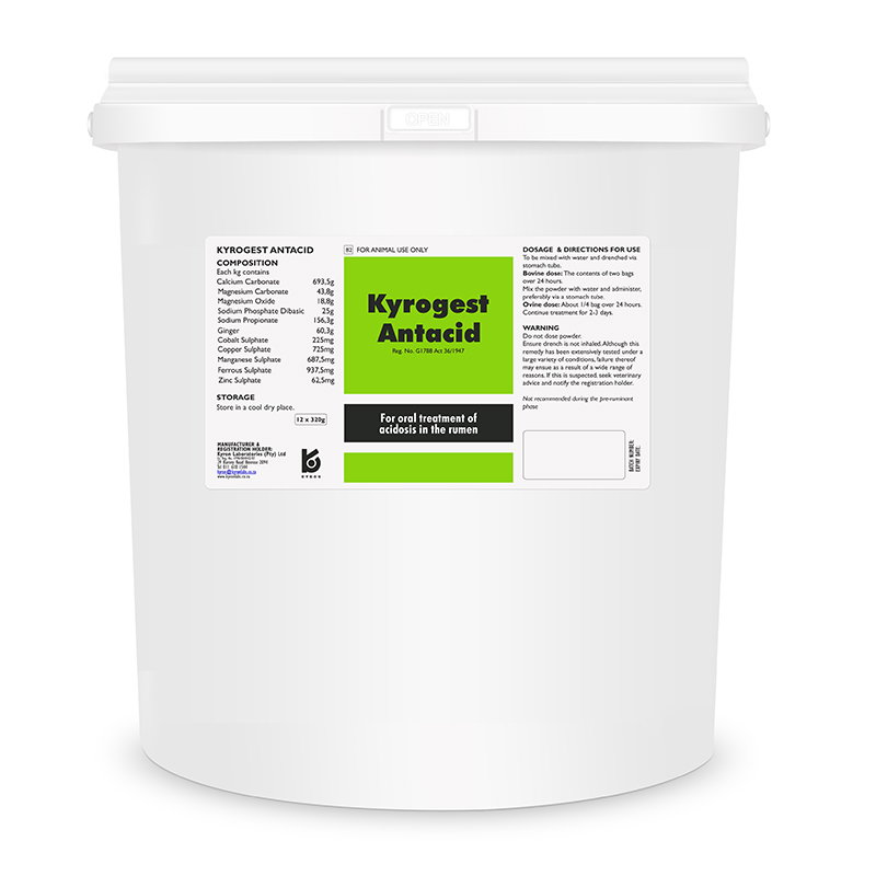 Kyrogest Antacid (12x320g)