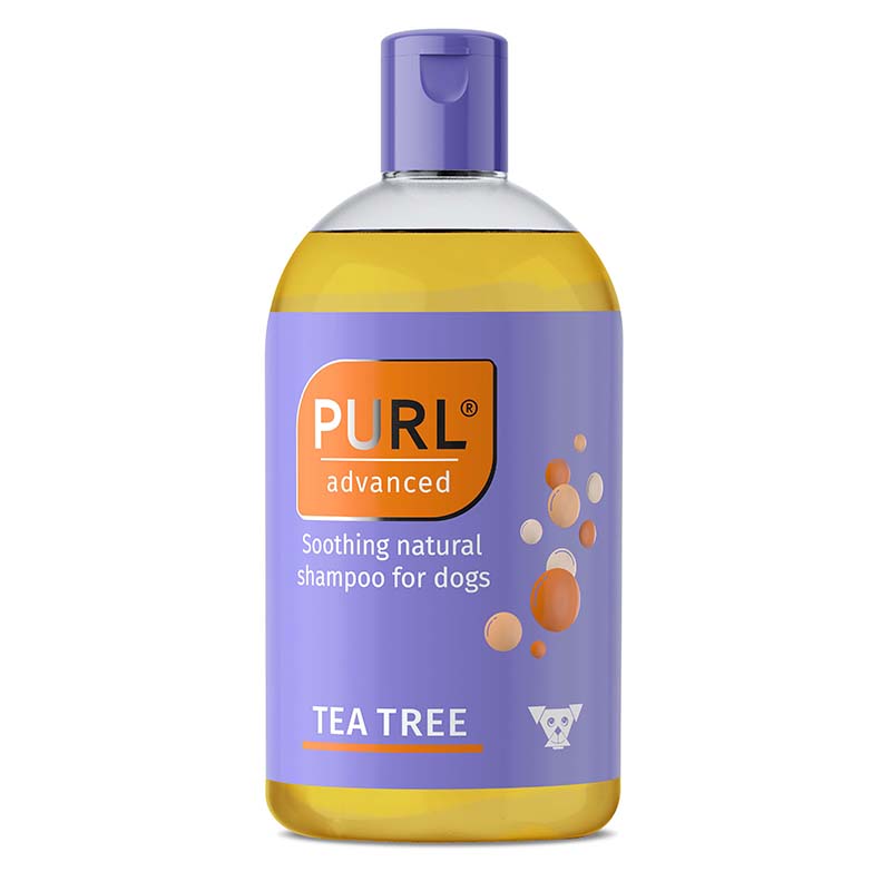 Purl Shampoo_1