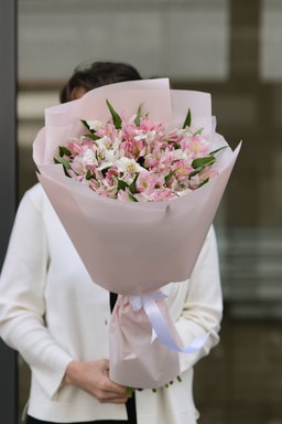 Alstroemeria