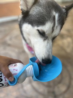 TERMO DE ACERO INOXIDABLE PARA MASCOTAS