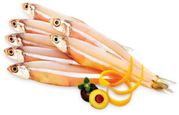 NATHOLLI/ANCHOVY 