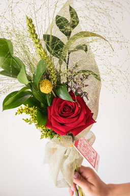 SANT JORDI
