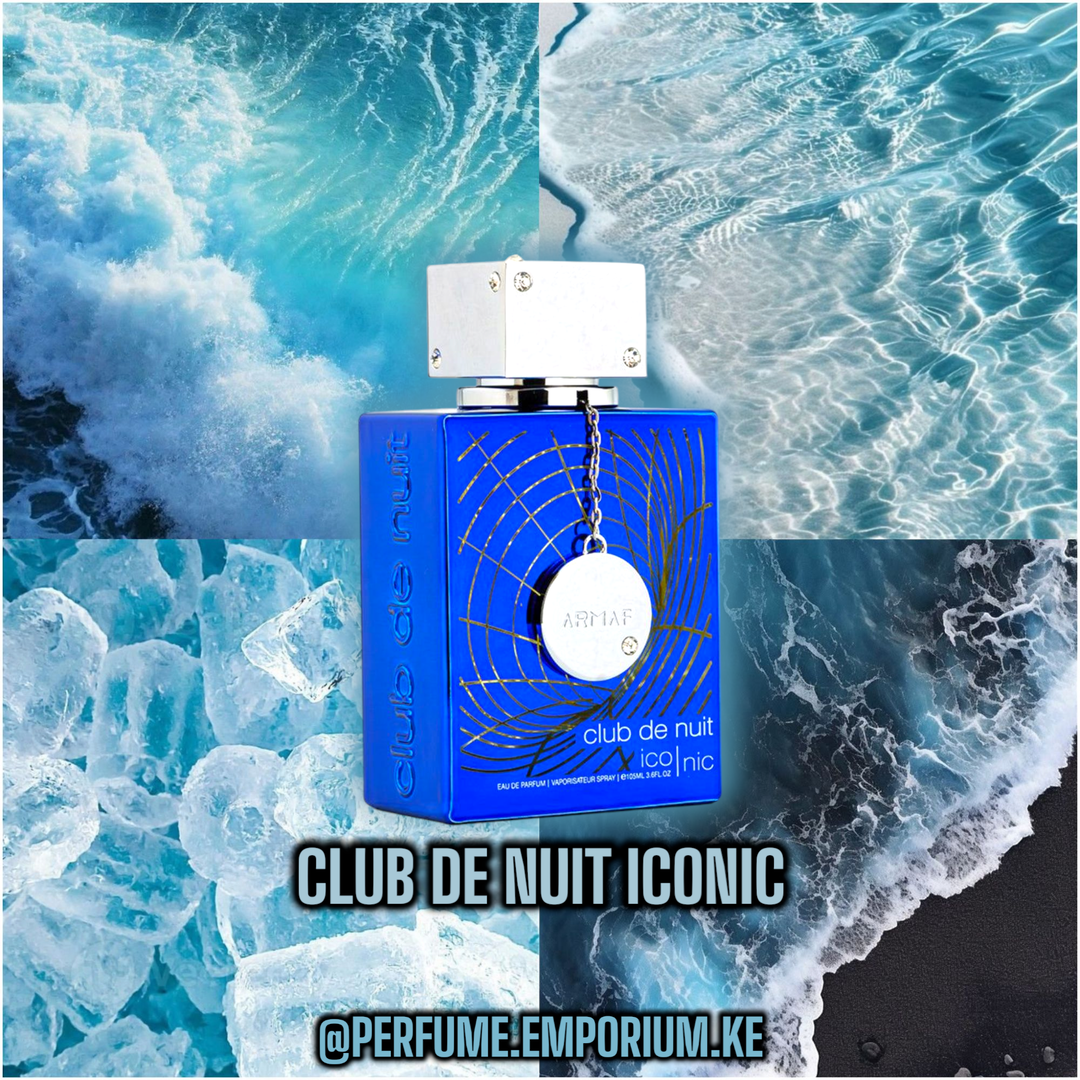 CLUB DE NUIT ICONIC