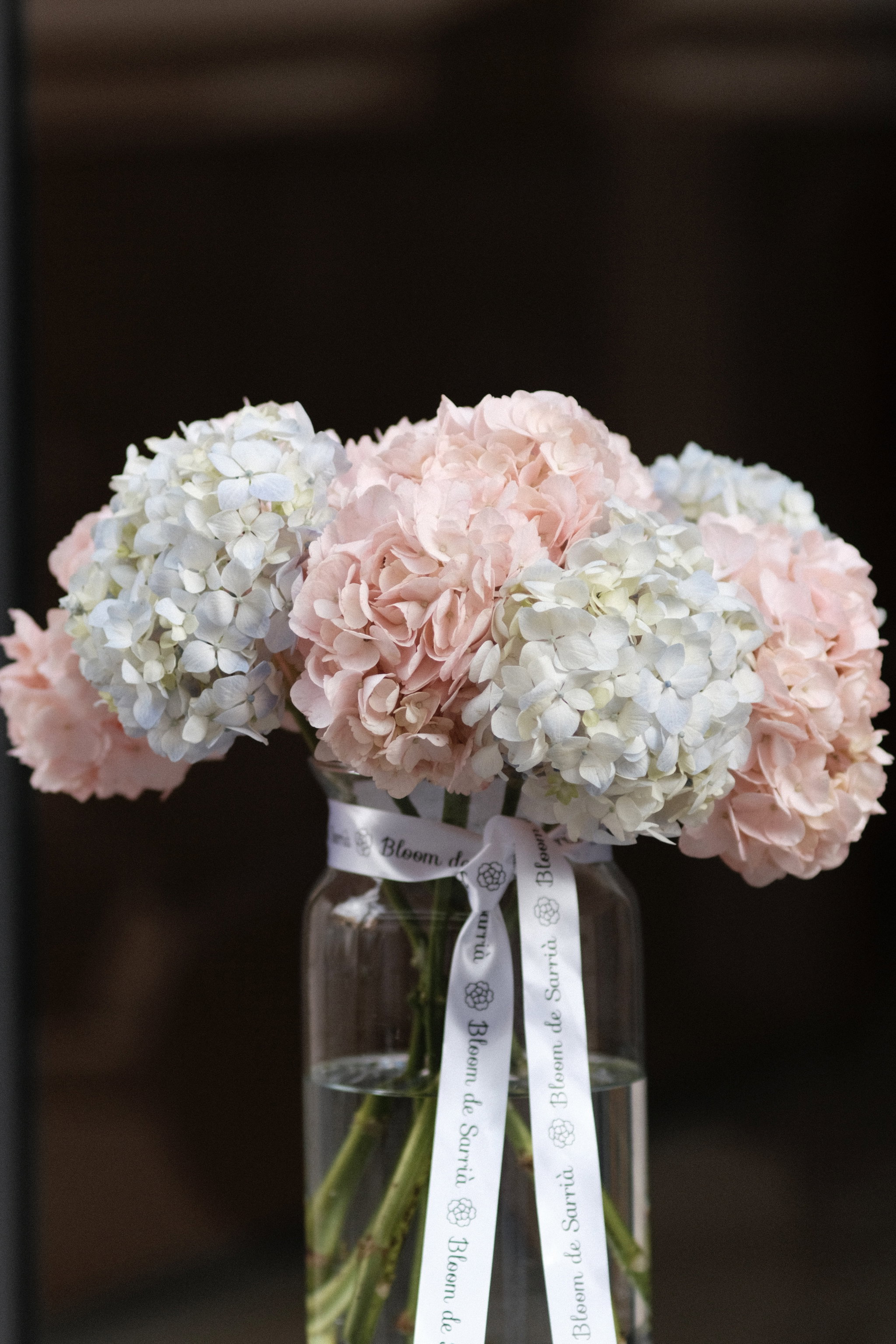 Hydrangeas In A Vase _2