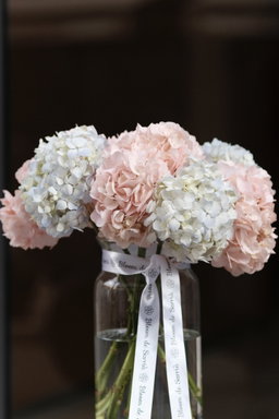 Hydrangeas In A Vase 