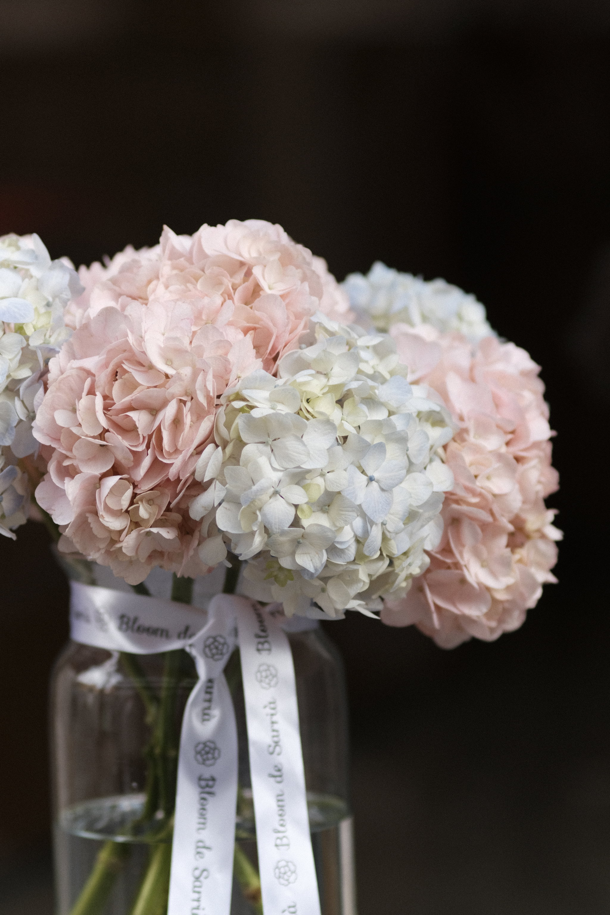 Hydrangeas In A Vase _1