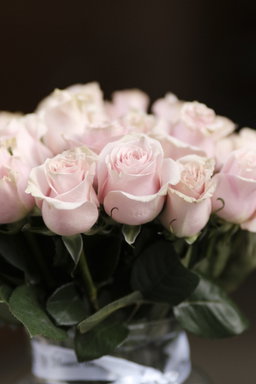 Roses In A Vase  