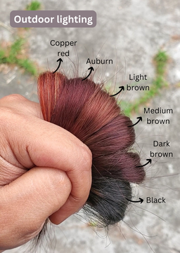 MEDIUM BROWN Herbal Henna Powder
