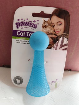 Cat Toy with Light (Pawise)