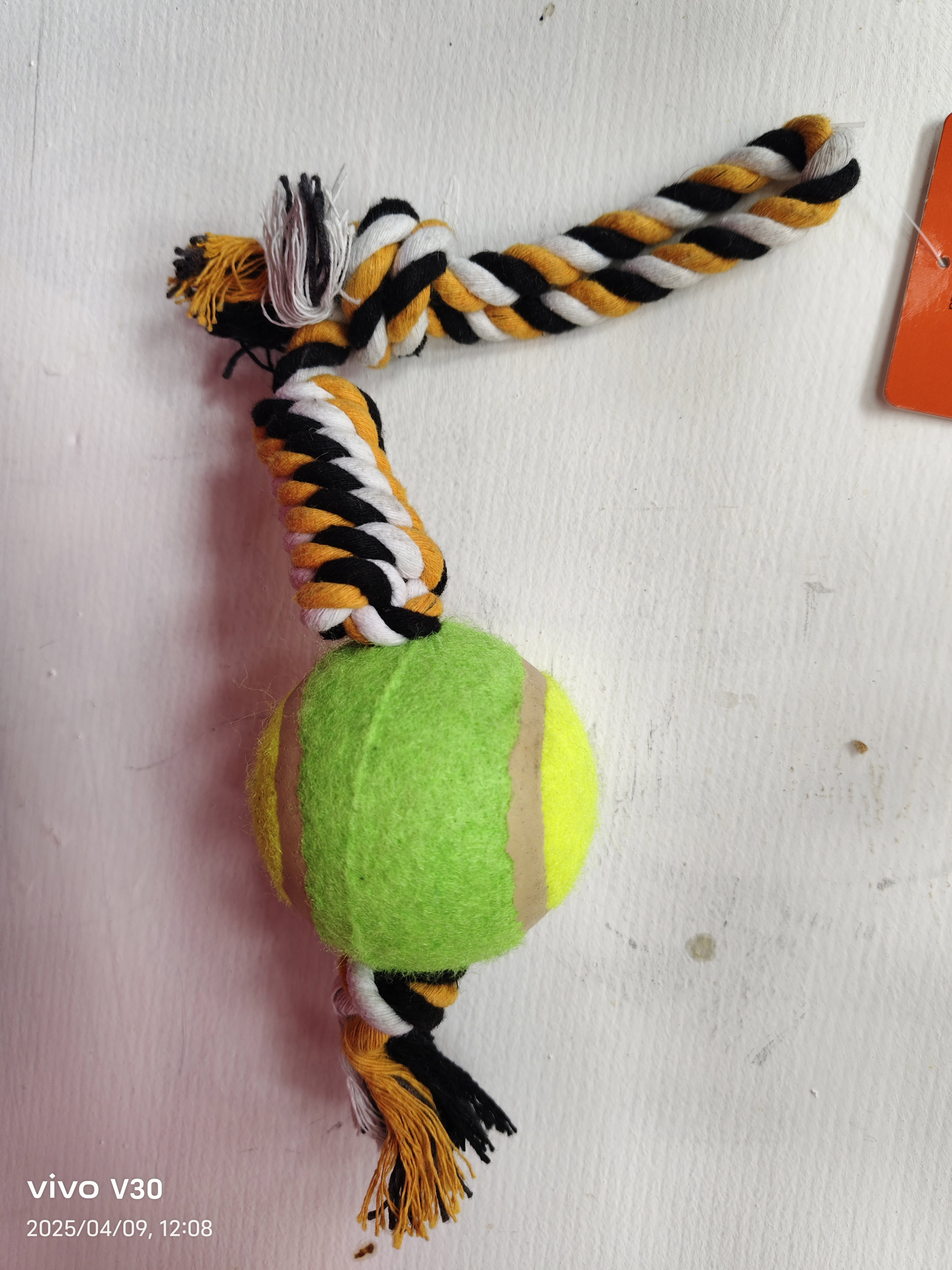 Knot Rope Toy with Tennis Ball