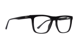 RB101165 |Full Rim |Acetate |50-20-140 |Elite