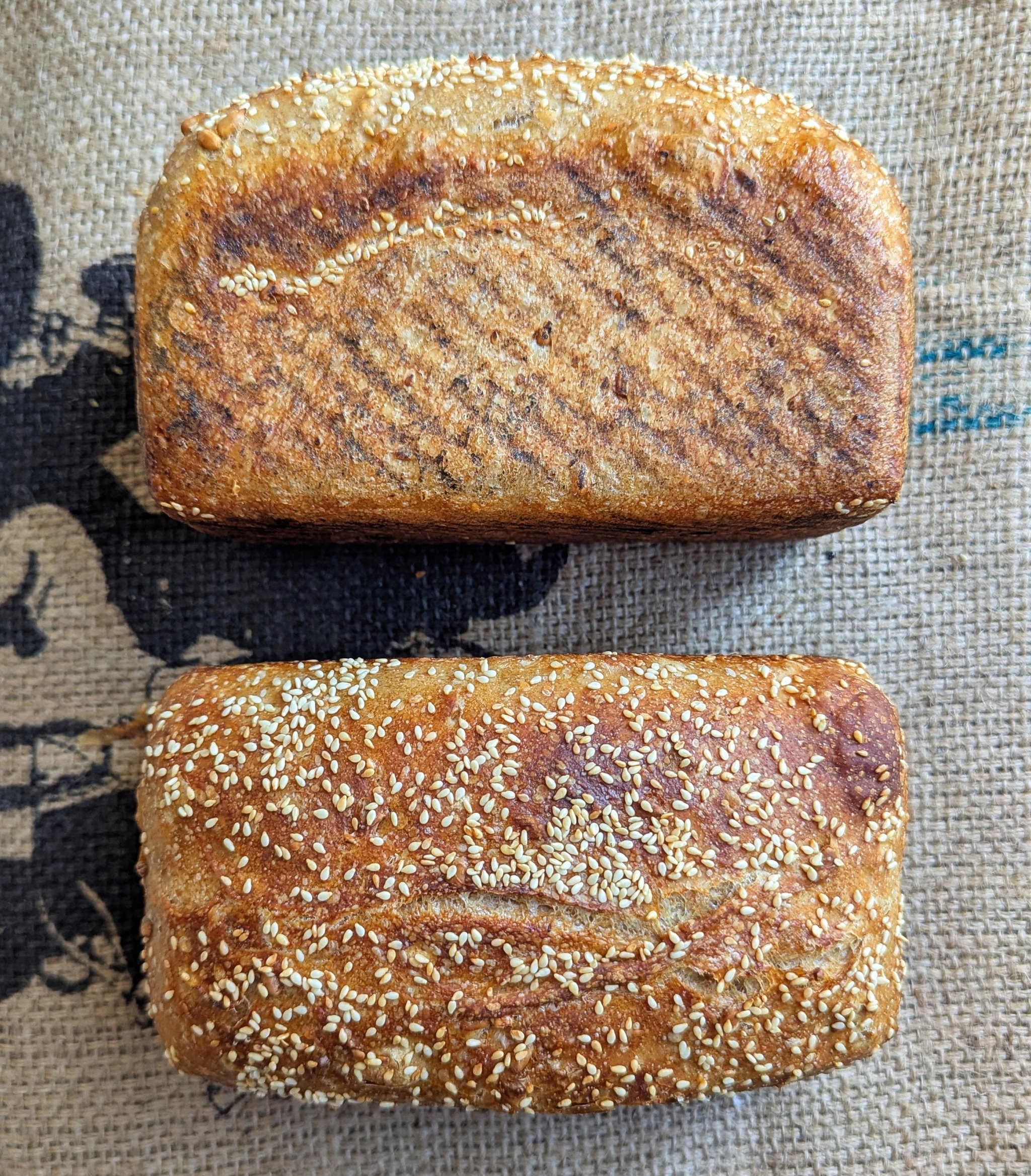 FILIPPO Sesame Sandwich Sourdough Bread _0
