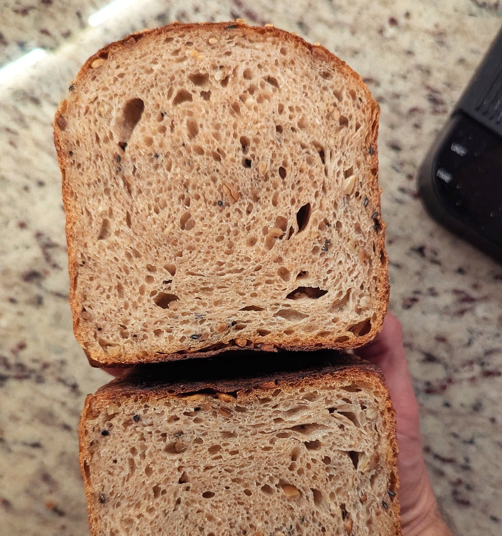 FILIPPO Sesame Sandwich Sourdough Bread _1