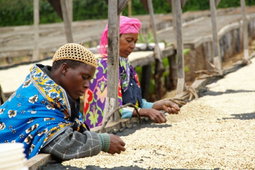 Sawadou SPECIALTY COFFEE 