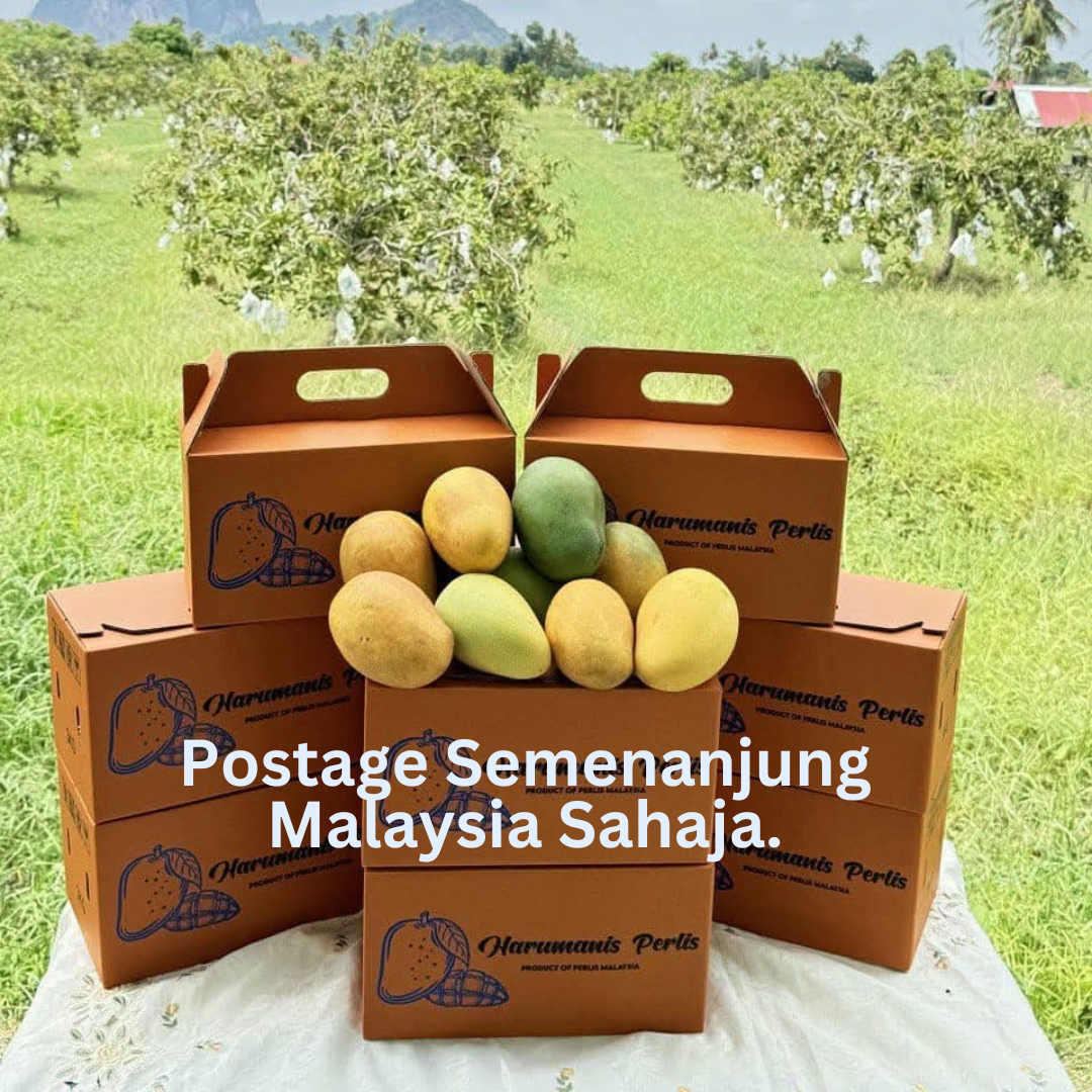 HARUMANIS ORI PERLIS, Manis Melecaih_3