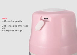 RECHARGEABLE MINI BLENDER 250ML