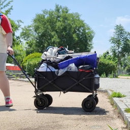 WAGON TROLLEY