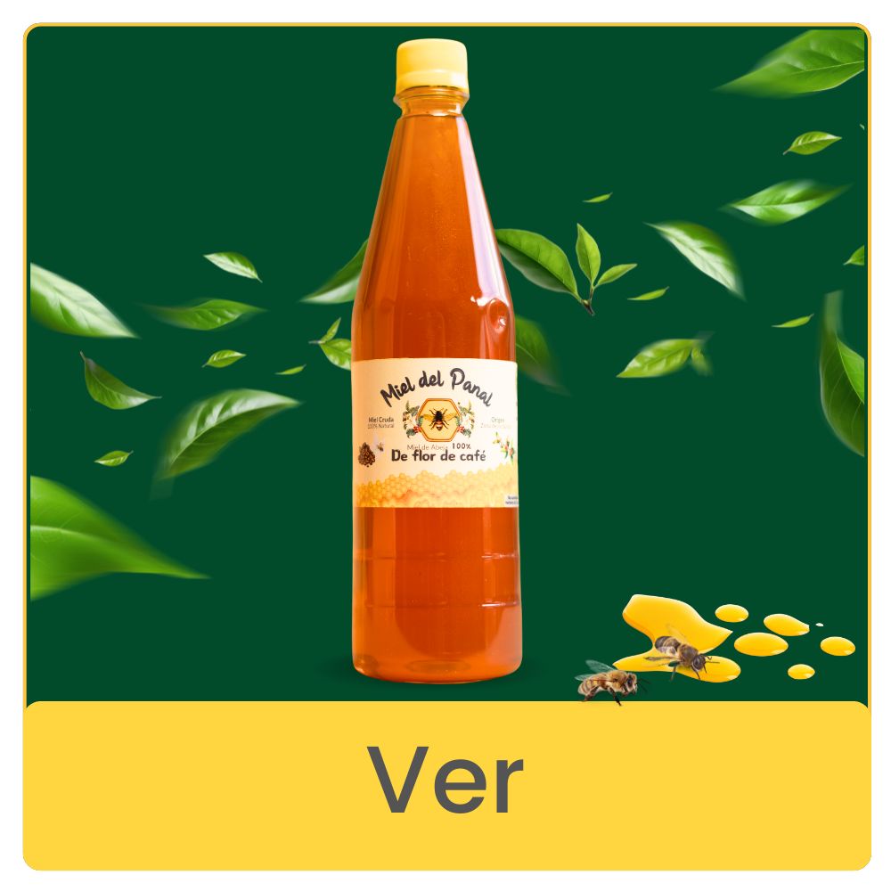 Miel Cruda de flor de café (botella 1000 gramos)