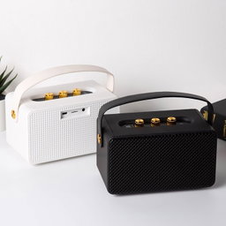 MARSHALL SPEAKER M10