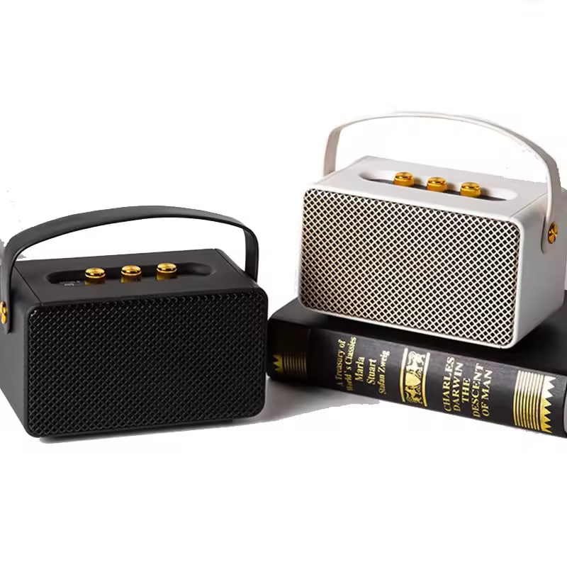 MARSHALL SPEAKER M10_0