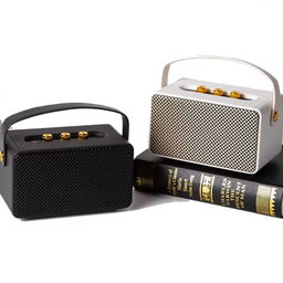 MARSHALL SPEAKER M10