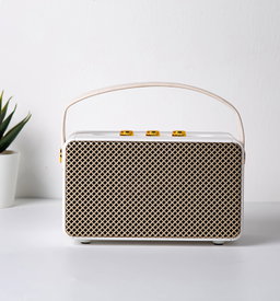 MARSHALL SPEAKER M10
