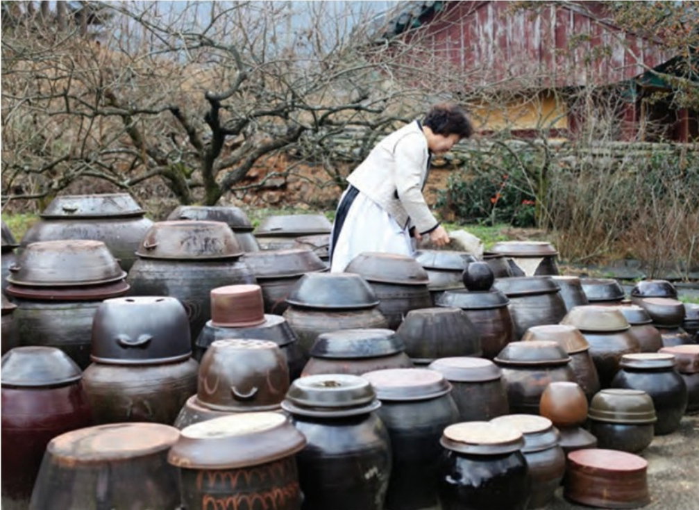 전라도 묵은지 맛있는 묵은김치 신김치 해남 강진, 3kg, Jeolla-do Aged Kimchi 3kg (Haeam/Gangjin)_2