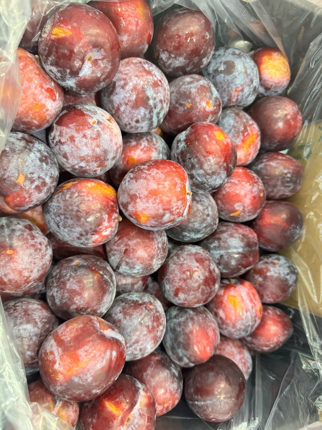 Australia Flavour Fall Plum