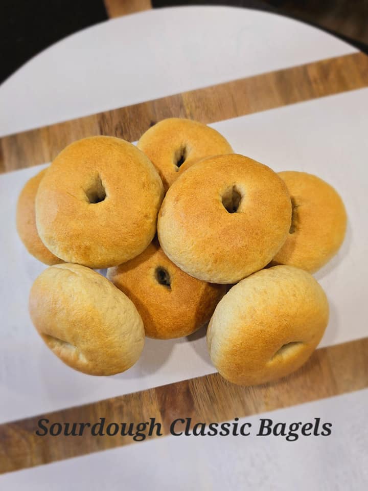 Classic Sourdough Bagels _0