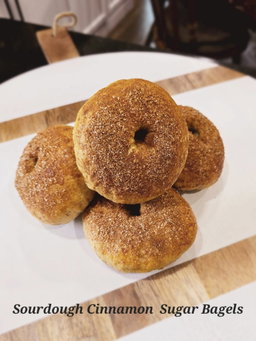 Cinnamon Sugar Sourdough Bagels
