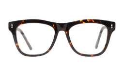 ACETATE |FD1106 |Full Rim |Acetate |TIGER PRINT-Acetate |53-18-145