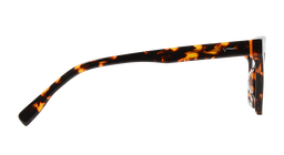 ACETATE |FD1121 |Full Rim |Acetate |TIGER PRINT-Acetate |53-17-145